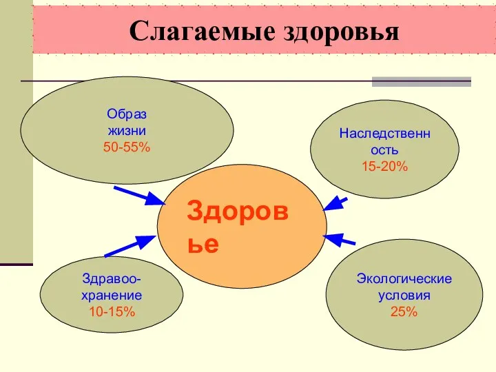 Слагаемые здоровья Здоровье Образ жизни 50-55% Здравоо- хранение 10-15% Наследственность 15-20% Экологические условия 25%