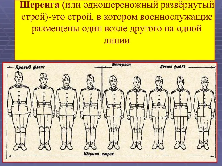 Шеренга (или одношереножный развёрнутый строй)-это строй, в котором военнослужащие размещены один возле другого на одной линии