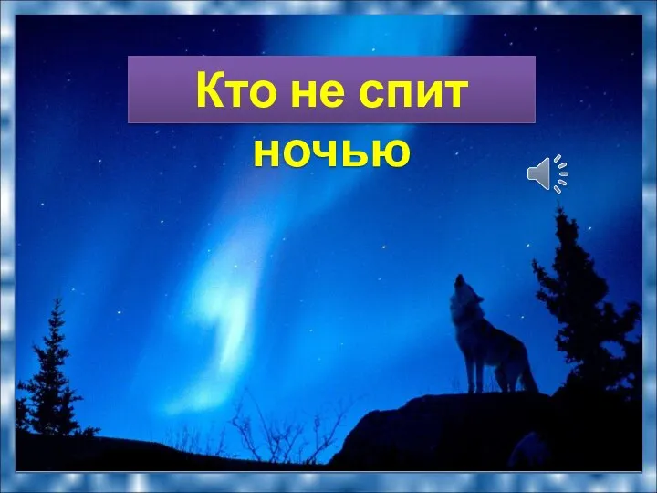 Кто не спит ночью