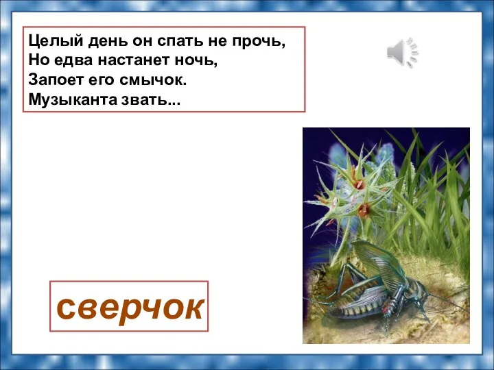 Целый день он спать не прочь, Но едва настанет ночь, Запоет его смычок. Музыканта звать... сверчок