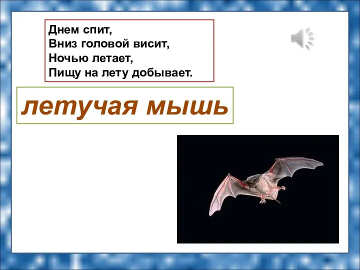 Днем спит, Вниз головой висит, Ночью летает, Пищу на лету добывает. летучая мышь