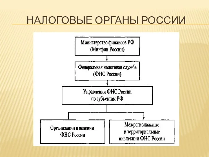 НАЛОГОВЫЕ ОРГАНЫ РОССИИ