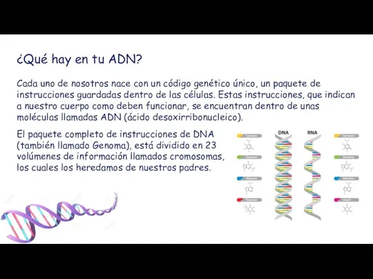 ¿Qué hay en tu ADN? Cada uno de nosotros nace con un