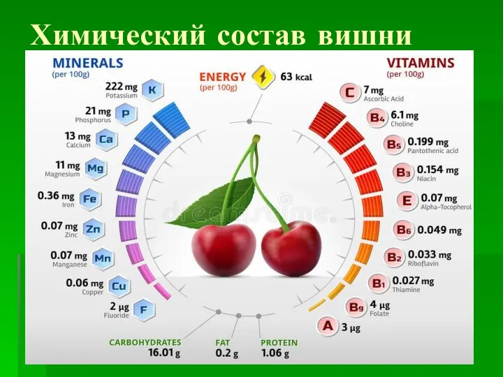Химический состав вишни