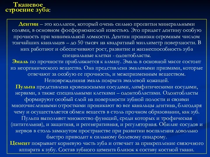 Дентин – это коллаген, который очень сильно пропитан минеральными солями, в основном