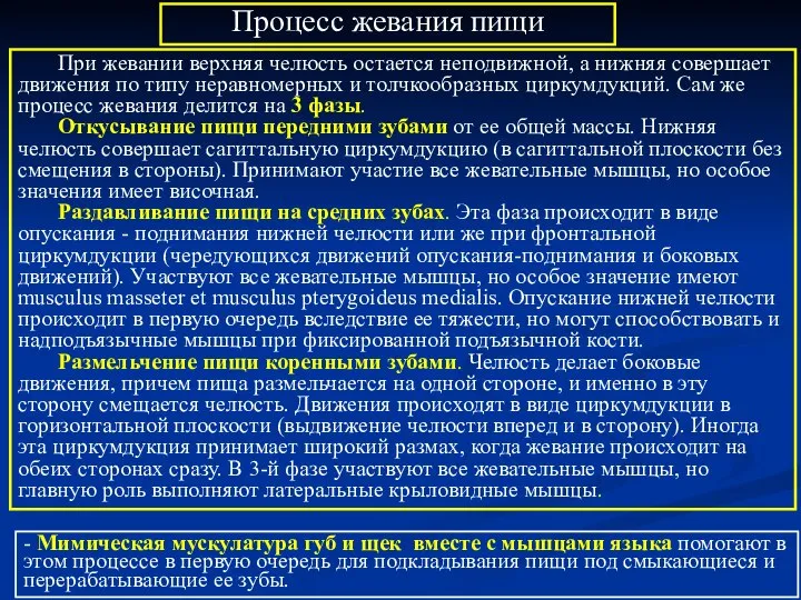 При жевании верхняя челюсть остается неподвижной, а нижняя совершает движения по типу