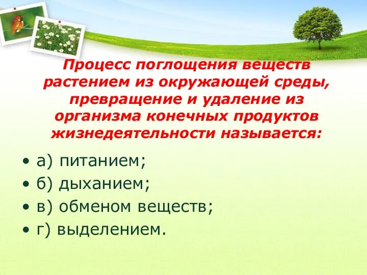 Процесс поглощения веществ растением из окружающей среды, превращение и удаление из организма