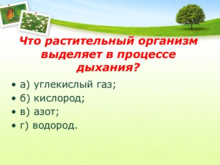 Что растительный организм выделяет в процессе дыхания? а) углекислый газ; б) кислород; в) азот; г) водород.