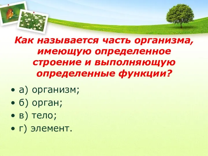 Как называется часть организма, имеющую определенное строение и выполняющую определенные функции? а)