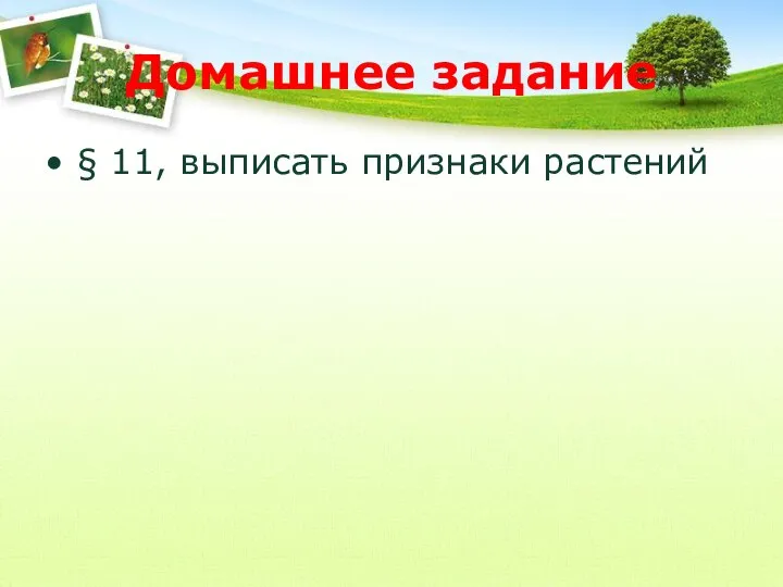 Домашнее задание § 11, выписать признаки растений