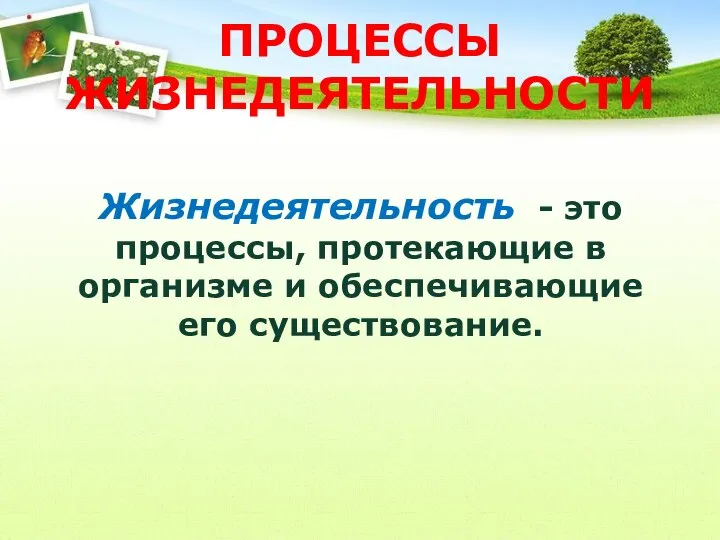 ПРОЦЕССЫ ЖИЗНЕДЕЯТЕЛЬНОСТИ Жизнедеятельность - это процессы, протекающие в организме и обеспечивающие его существование.