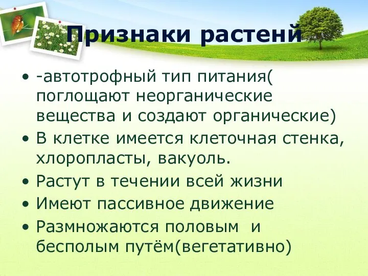 Признаки растенй -автотрофный тип питания( поглощают неорганические вещества и создают органические) В