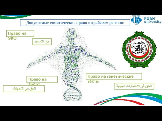 Допустимые соматические права в арабском регионе Право на ЭКО حق التسميد Право