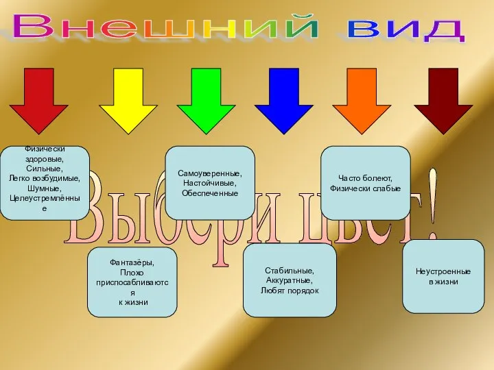 Выбери цвет! Внешний вид Физически здоровые, Сильные, Легко возбудимые, Шумные, Целеустремлённые Стабильные,