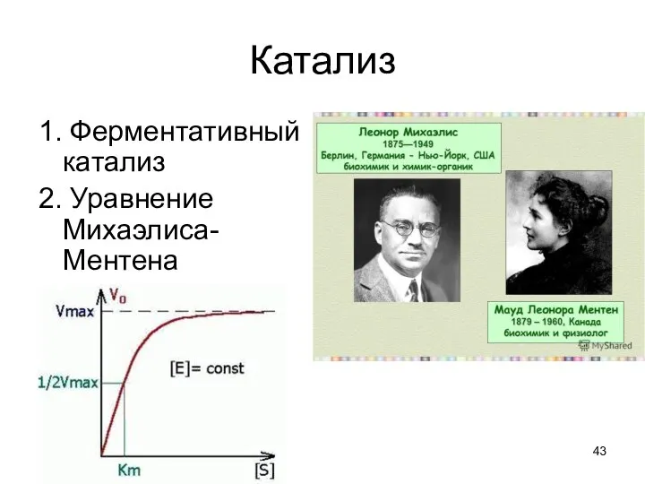 Катализ 1. Ферментативный катализ 2. Уравнение Михаэлиса-Ментена