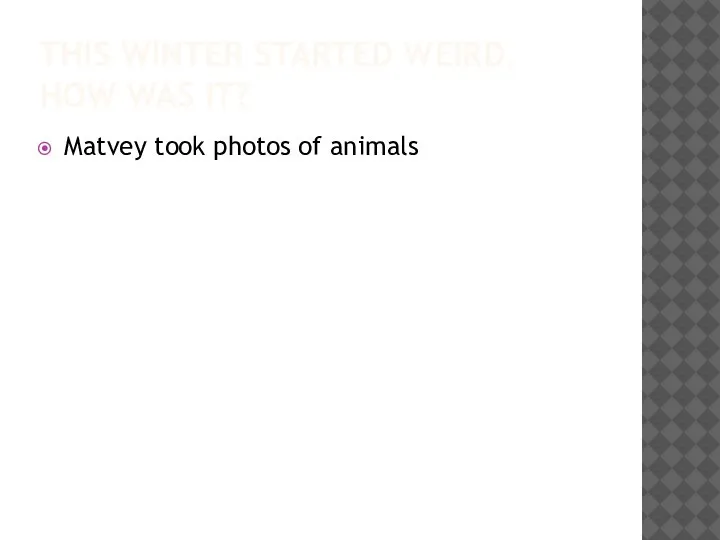 THIS WINTER STARTED WEIRD. HOW WAS IT? Matvey took photos of animals