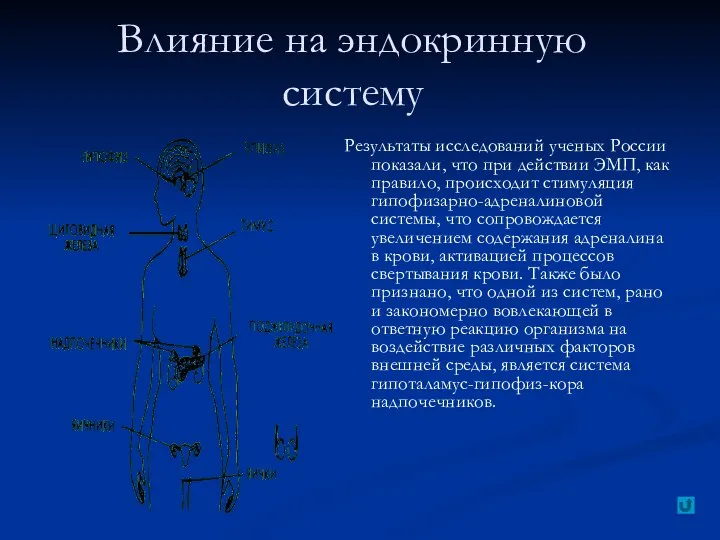 Влияние на эндокринную систему Результаты исследований ученых России показали, что при действии