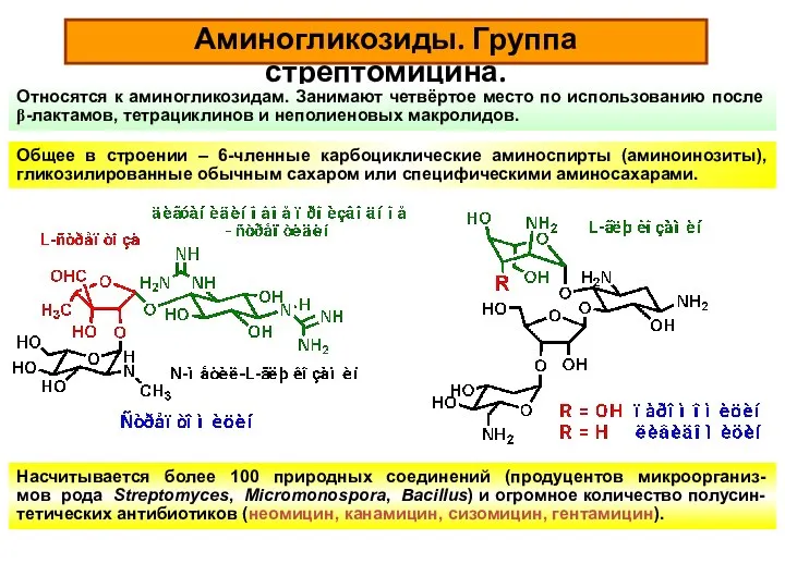 Аминогликозиды. Группа стрептомицина. Относятся к аминогликозидам. Занимают четвёртое место по использованию после