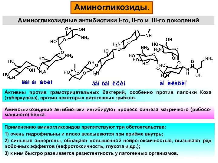 Аминогликозиды. Аминогликозидные антибиотики ингибируют процесс синтеза матричного (рибосо-мального) белка. Применению аминогликозидов препятствуют