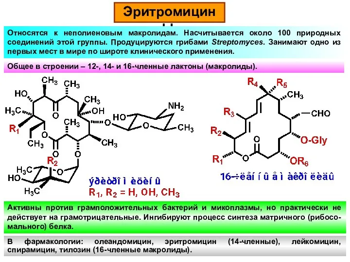 Эритромицины. Общее в строении – 12-, 14- и 16-членные лактоны (макролиды). Относятся