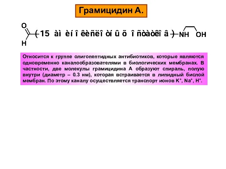 Грамицидин А. Относится к группе олигопептидных антибиотиков, которые являются одновременно каналообразователями в