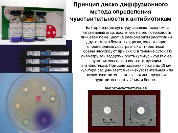 Принцип диско-диффузионного метода определения чувствительности к антибиотикам Бактериальную культуру засевают газоном на