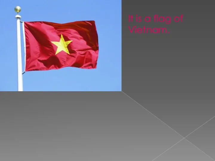 It is a flag of Vietnam.