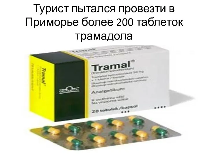 Турист пытался провезти в Приморье более 200 таблеток трамадола
