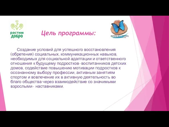 Цель программы: Создание условий для успешного восстановления (обретения) социальных, коммуникационных навыков, необходимых