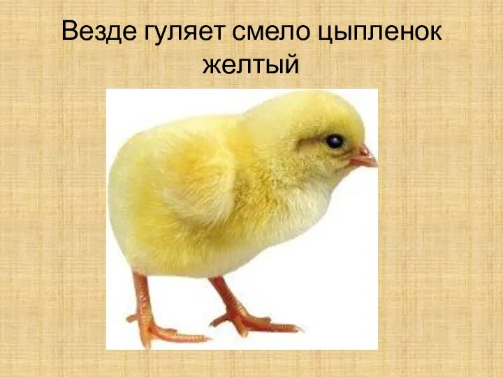 Везде гуляет смело цыпленок желтый