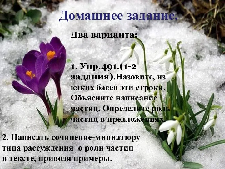 Домашнее задание. Два варианта: 1. Упр.491.(1-2 задания).Назовите, из каких басен эти строки.