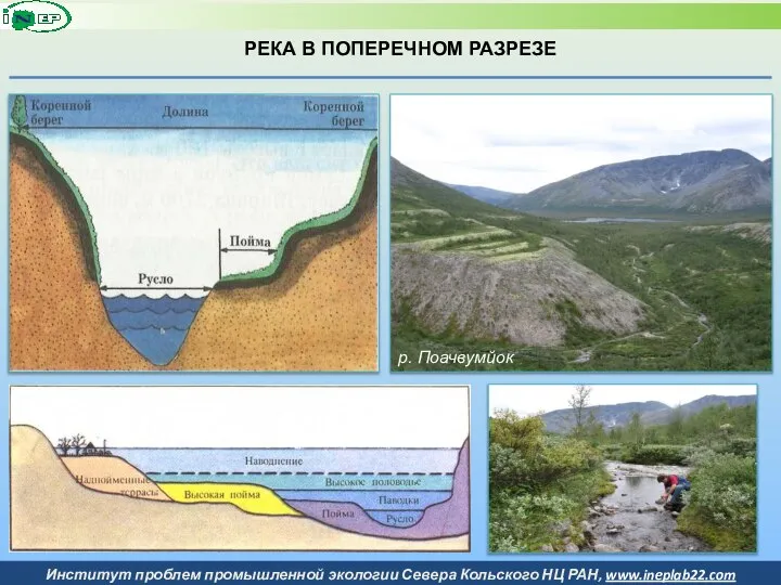 РЕКА В ПОПЕРЕЧНОМ РАЗРЕЗЕ р. Поачвумйок