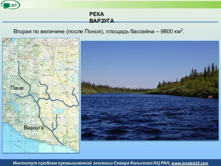 РЕКА ВАРЗУГА Вторая по величине (после Поноя), площадь бассейна – 9800 км2. Пана Варзуга