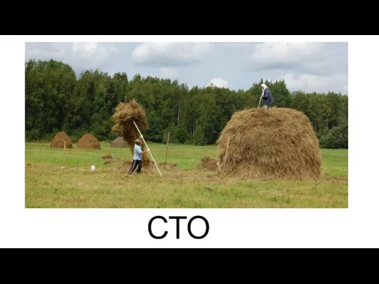 СТОГ