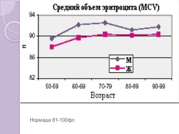 Нормада 81-100фл