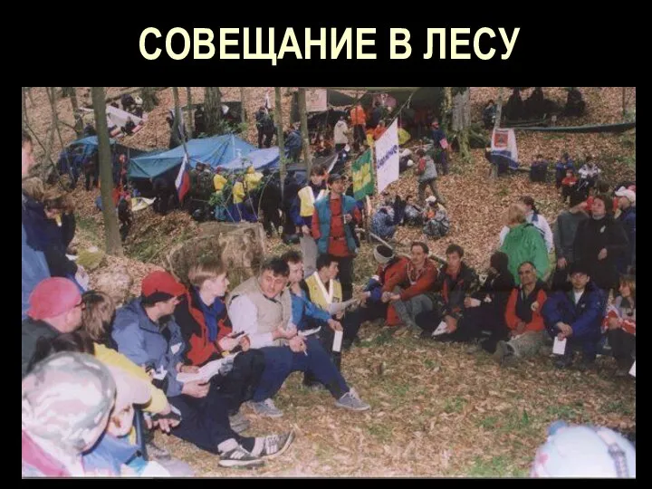 СОВЕЩАНИЕ В ЛЕСУ