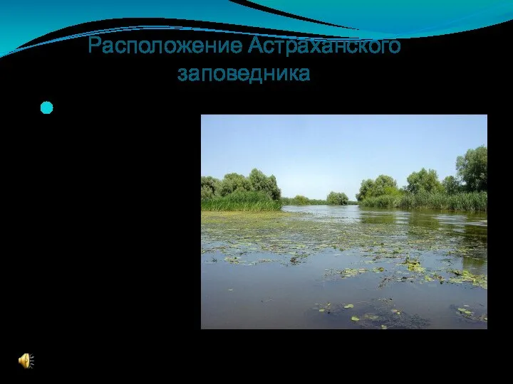 Расположение Астраханского заповедника Заповедник расположен в низовьях дельты Волги, на территории Камызякского, Володарского и Икрянинского районов