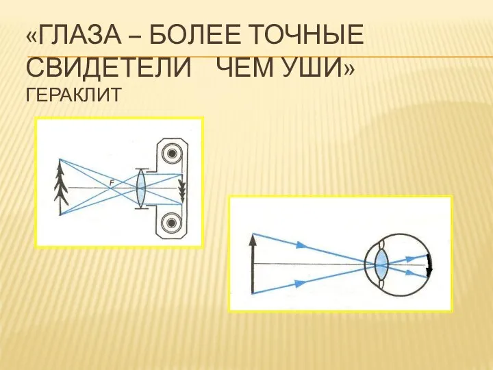 «ГЛАЗА – БОЛЕЕ ТОЧНЫЕ СВИДЕТЕЛИ ЧЕМ УШИ» ГЕРАКЛИТ