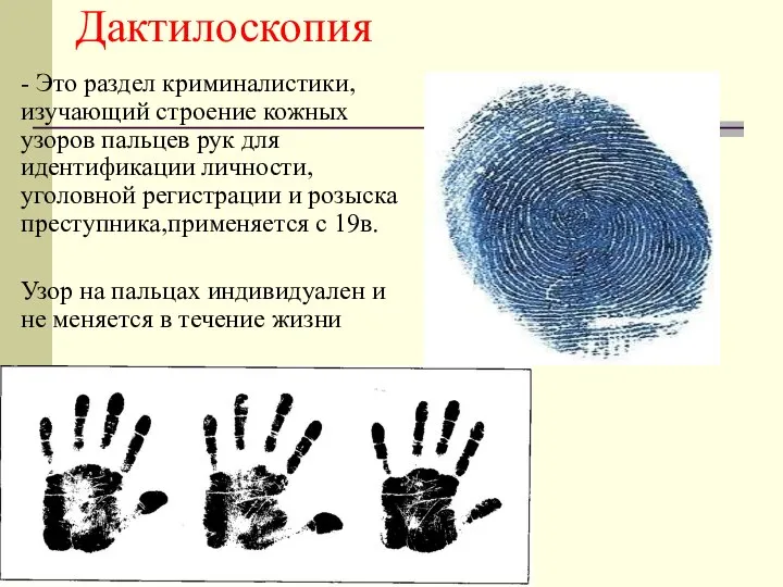 Дактилоскопия - Это раздел криминалистики, изучающий строение кожных узоров пальцев рук для