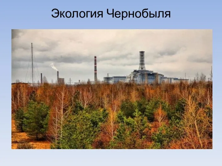 Экология Чернобыля