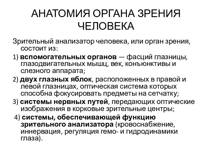 АНАТОМИЯ ОРГАНА ЗРЕНИЯ ЧЕЛОВЕКА Зрительный анализатор человека, или орган зрения, состоит из: