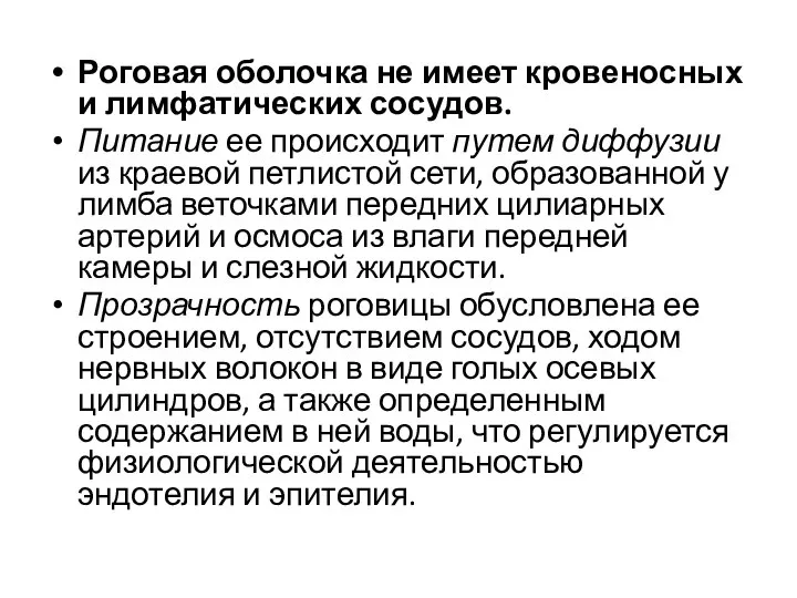 Роговая оболочка не имеет кровеносных и лимфатических сосудов. Питание ее происходит путем