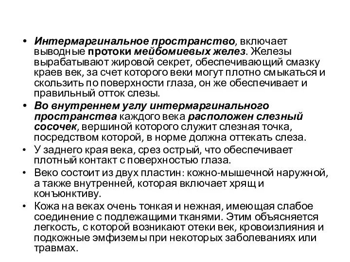 Интермаргинальное пространство, включает выводные протоки мейбомиевых желез. Железы вырабатывают жировой секрет, обеспечивающий