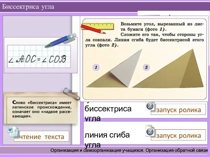 Биссектриса угла Организация и самоорганизация учащихся. Организация обратной связи Луч ОС делит