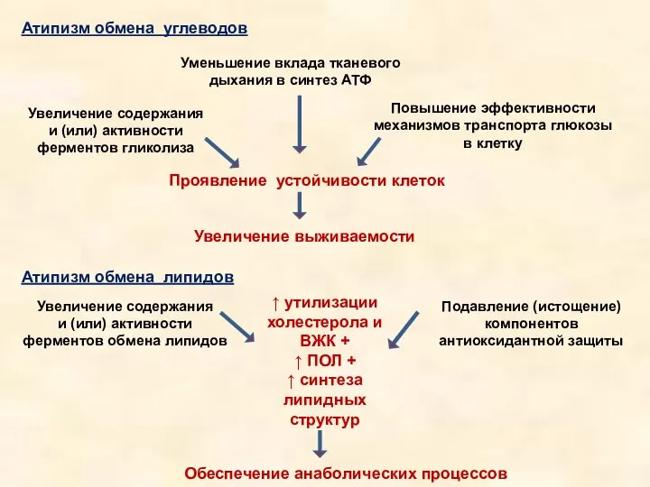 Атипизм обмена углеводов Уменьшение вклада тканевого дыхания в синтез АТФ Увеличение содержания