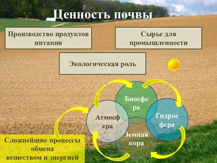 Ценность почвы Производство продуктов питания Сырье для промышленности Экологическая роль Биосфера Земная