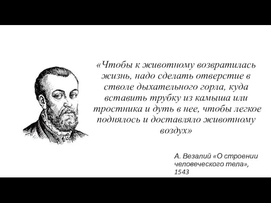 «Чтобы к животному возвратилась жизнь, надо сделать отверстие в стволе дыхательного горла,