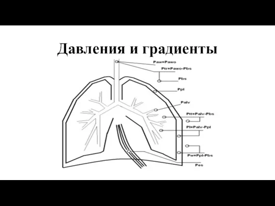 Давления и градиенты