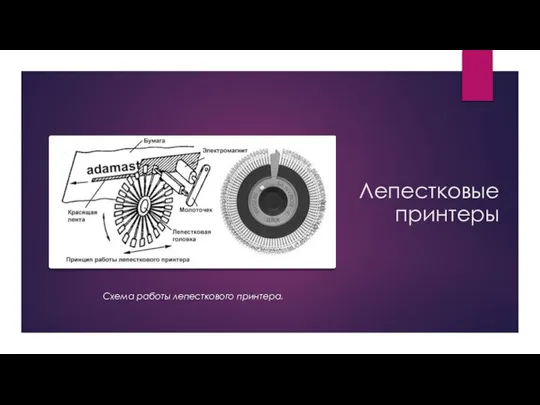 Лепестковые принтеры Схема работы лепесткового принтера.