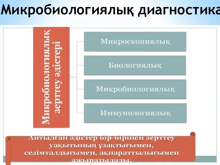 Микробиологиялық диагностика